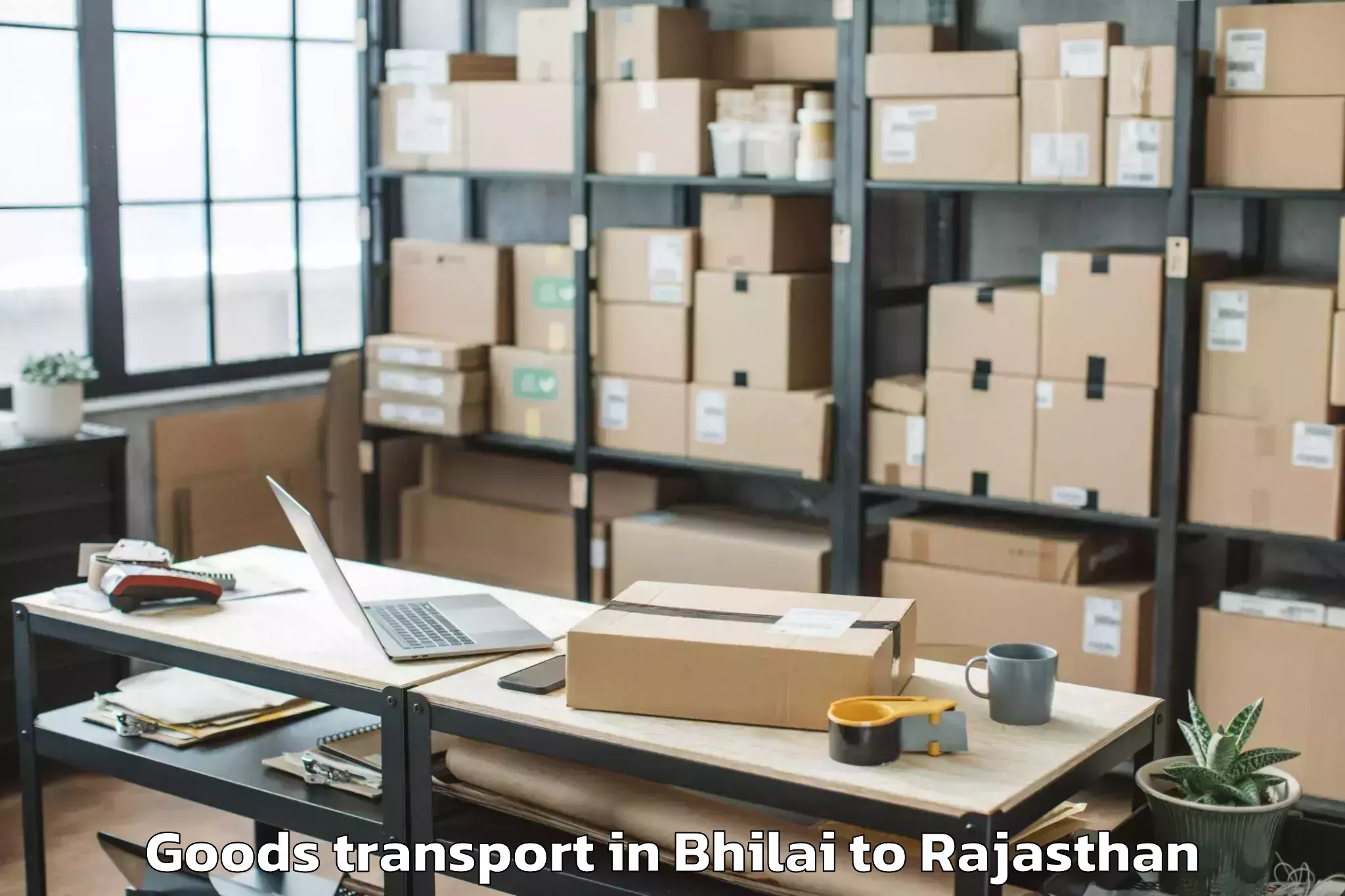 Affordable Bhilai to Indergarh Goods Transport